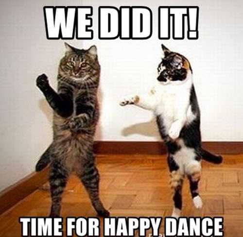 Happy Dance Meme Idlememe