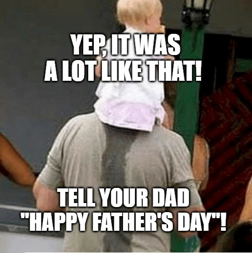 Fathers Day Meme IdleMeme